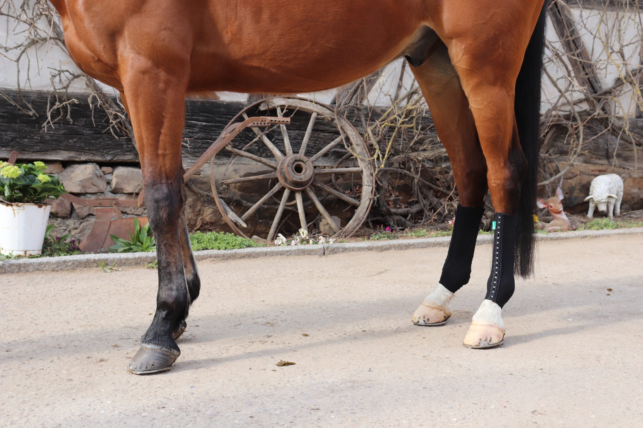 Pferd Bandage Equicrown