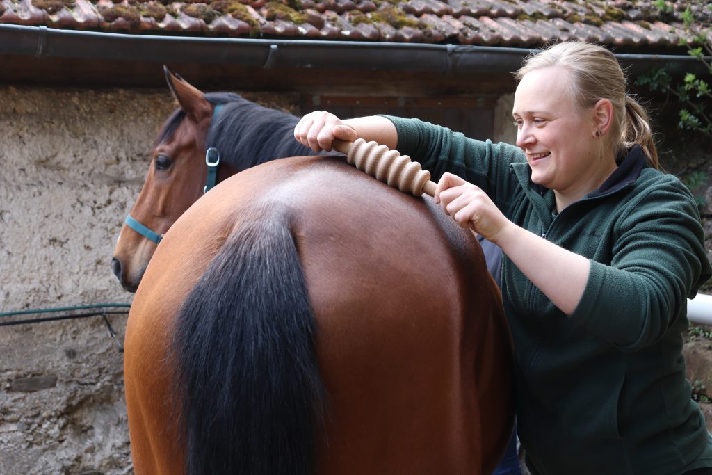 Pferd Faszien Faszienrolle Tierphysiotherapie