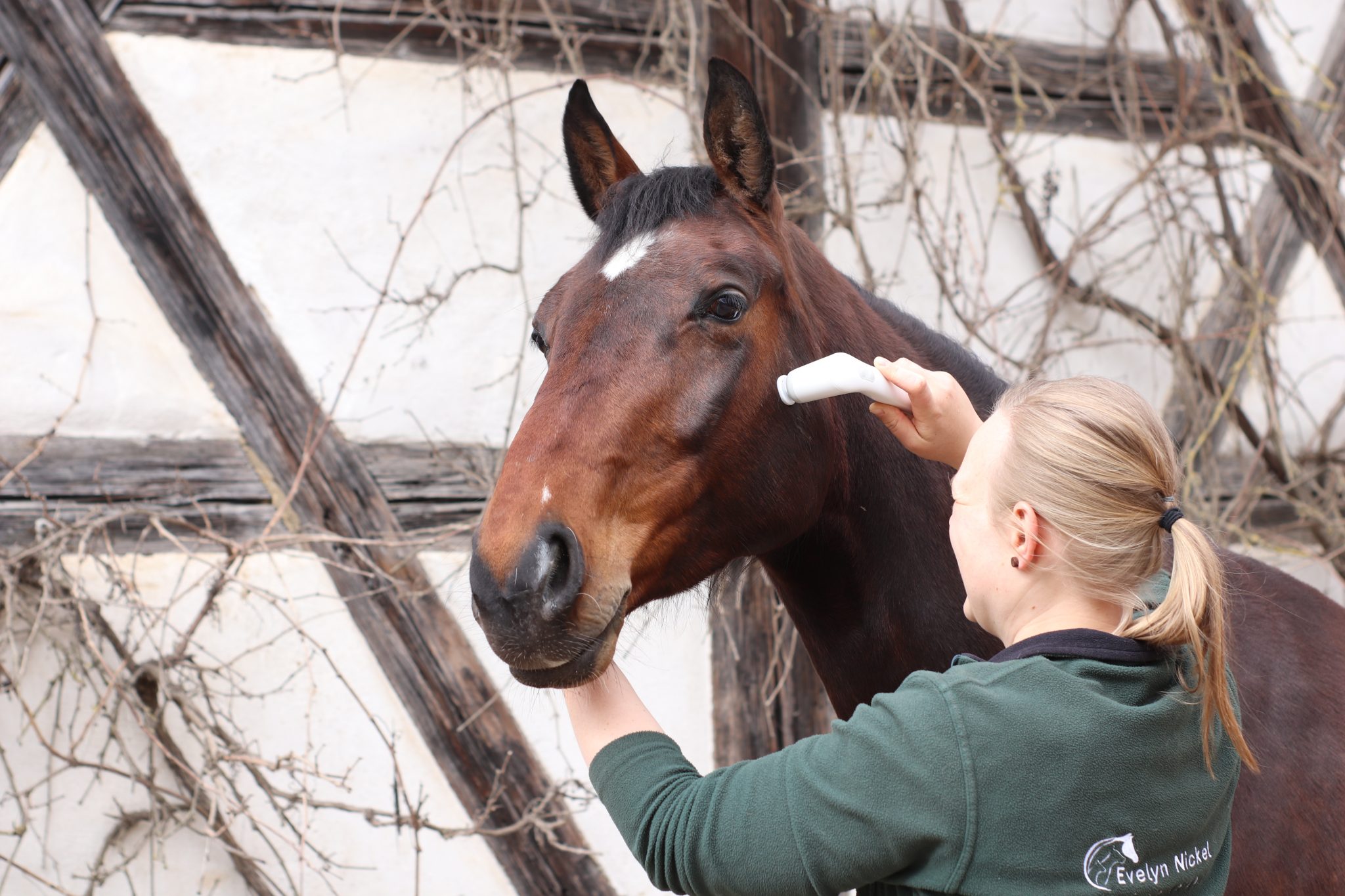 Pferde Massagegeräte Schallwellengerät zur Lokalen Vibrationstherapie gegen Schmerzen Verspannungen